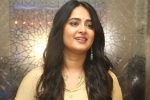 UV Creations, Anushka upcoming movies, anushka s next project updates, Anushka shetty