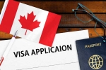 Canada Vs India Visa rule latest, Canada Vs India Visa rule updates, canada reduces tourist visas issued to indians, Canada new tourist visa rule