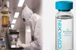 Coronavirus vaccine, Coronavirus vaccine, covaxin india s 1st covid 19 vaccine to get approval for human trials, Rotavirus