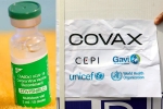 Covishield updates, Covishield news, sii to resume covishield supply to covax, Covishield eu