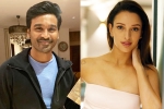 Triptii Dimri next movie, Triptii Dimri with Dhanush, dhanush to romance animal actress triptii dimri, Uttar pradesh