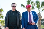 Donald Trump and Elon Musk, Donald Trump breaking, donald trump finally addresses rumors about elon musk, Phoenix