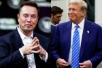 Elon Musk and Donald Trump latest, Elon Musk and Donald Trump deal, elon musk s big bet on donald trump, American elections 2024