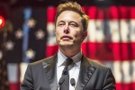 Musk intelligence, Donald Trump at Pennsylvania, is elon musk in the trump cabinet, Elon musk and donald trump