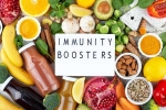 Immunity Tips science backed, Immunity Tips articles, interesting science backed tips to feel your best, Toronto