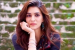 Chandigarh, Covid-19 Positive, kriti sanon tested positive for covid 19, Actress kriti sanon