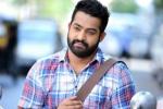 Bobby, Kalyanram, official ntr s next film locked, Sardar gabbar singh