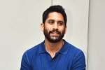 Naga Chaitanya lineup, Naga Chaitanya upcoming movies, change of plans for naga chaitanya, Vijay kanakamedala