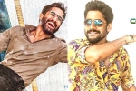 Naga Chaitanya birthday posters, Naga Chaitanya birthday special, naga chaitanya gearing up with two films, Kalyan krishna kurasala