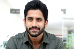 Naga Chaitanya interview, Naga Chaitanya news, naga chaitanya coming up with a strong lineup of films, Vijay kanakamedala