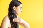 Overnight Hair Oiling latest breaking, Overnight Hair Oiling breaking, is overnight hair oiling right for you, Treatment