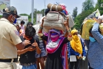 vikas khanna, covid-19, plight of migrant workers baby shakes to wake up deceased mother, Ashok bhushan