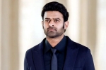 People Media Factory, Prabhas and Maruthi film, new updates of prabhas and maruthi film, Boman irani