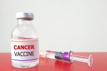 Russia Cancer Vaccine latest, Russia Cancer Vaccine latest, russia claims cancer vaccine discovery oncologists sceptical, College