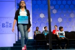 spelling bee, scripps spelling bee 2019, indian origin spelling bee veteran shruthika padhy is back to compete in this year s annual bee, Scripps national spelling bee