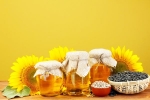 Sunflower Oil new updates, Sunflower Oil new updates, long term effects of consuming sunflower oil on heart health, Diets