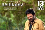 Saindhav, Saindhav for Sankranthi, venkatesh s saindhav locks new release date, Niharika entertainment