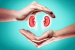 World Kidney Day 2025 food, World Kidney Day 2025 care, world kidney day 2025 theme and health tips, Theme