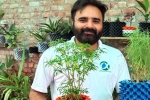 karnal municipal corporation, nri nitin lalit, young nri entrepreneur returns to his native place with an intent to save water in gardening, Banker