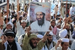 Al-Qaeda, Jihadists, bin laden continues to mobilize jihadists ten years after his death, Osama bin laden